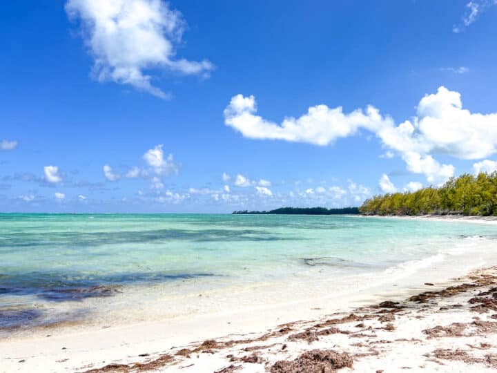 19 Amazing Things to Do in Mauritius