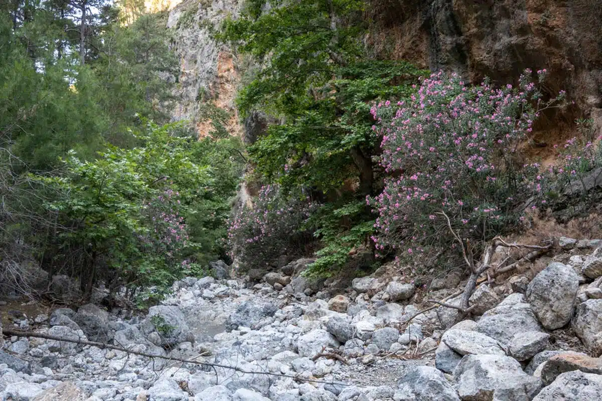 Agia Irini Gorge