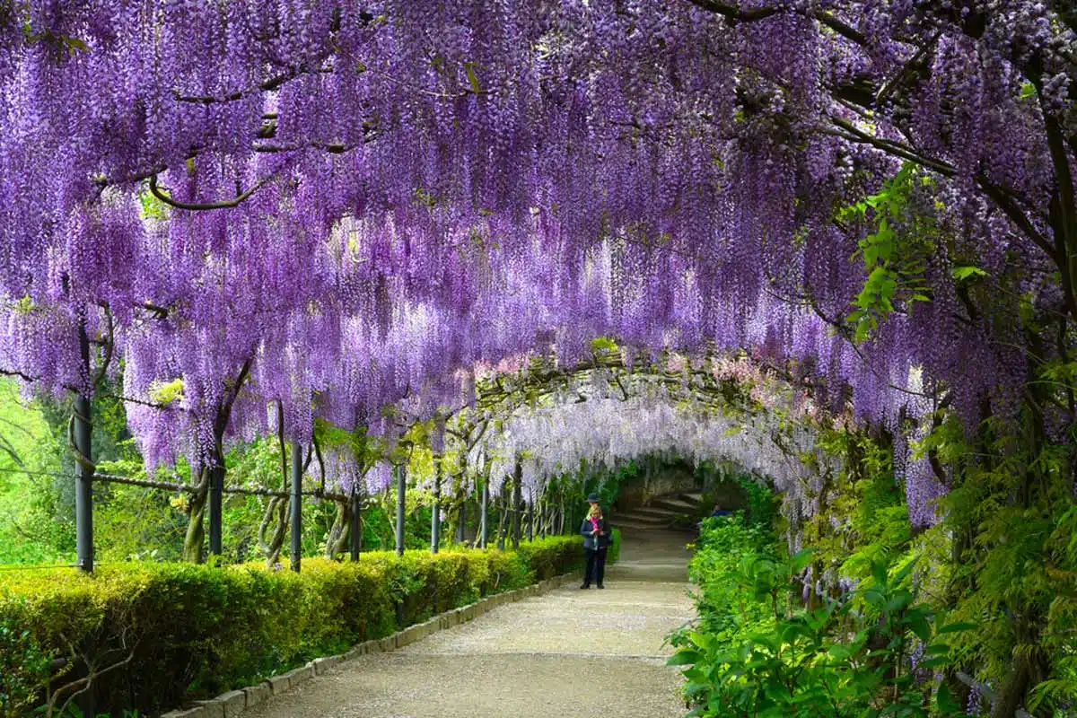 Bardini Gardens Florence, Italy 