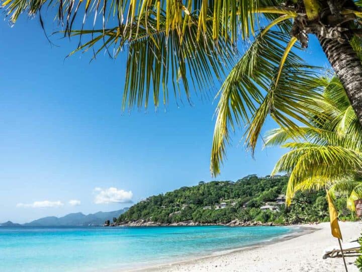 2 Weeks in the Seychelles: The Perfect Seychelles Itinerary