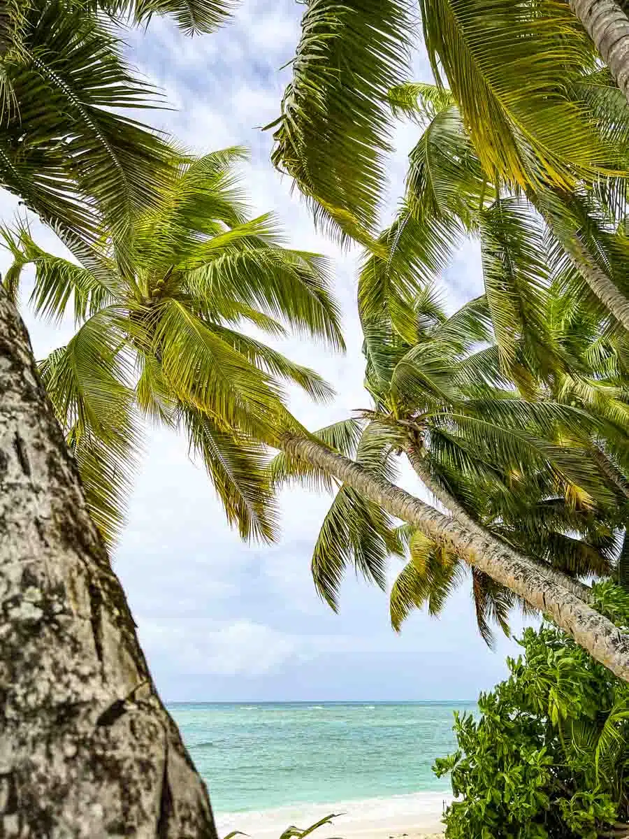 Beach Four Seasons Desroches Seychelles