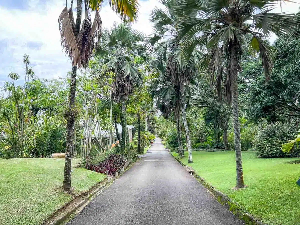 Botanical Gardens Mahe Seychelles