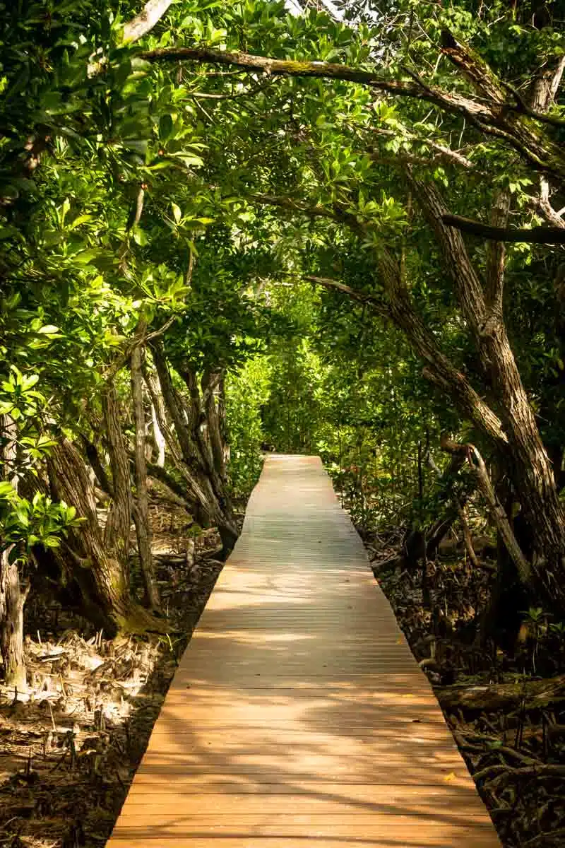 Curieuse Coastal Lagoon Seychelles