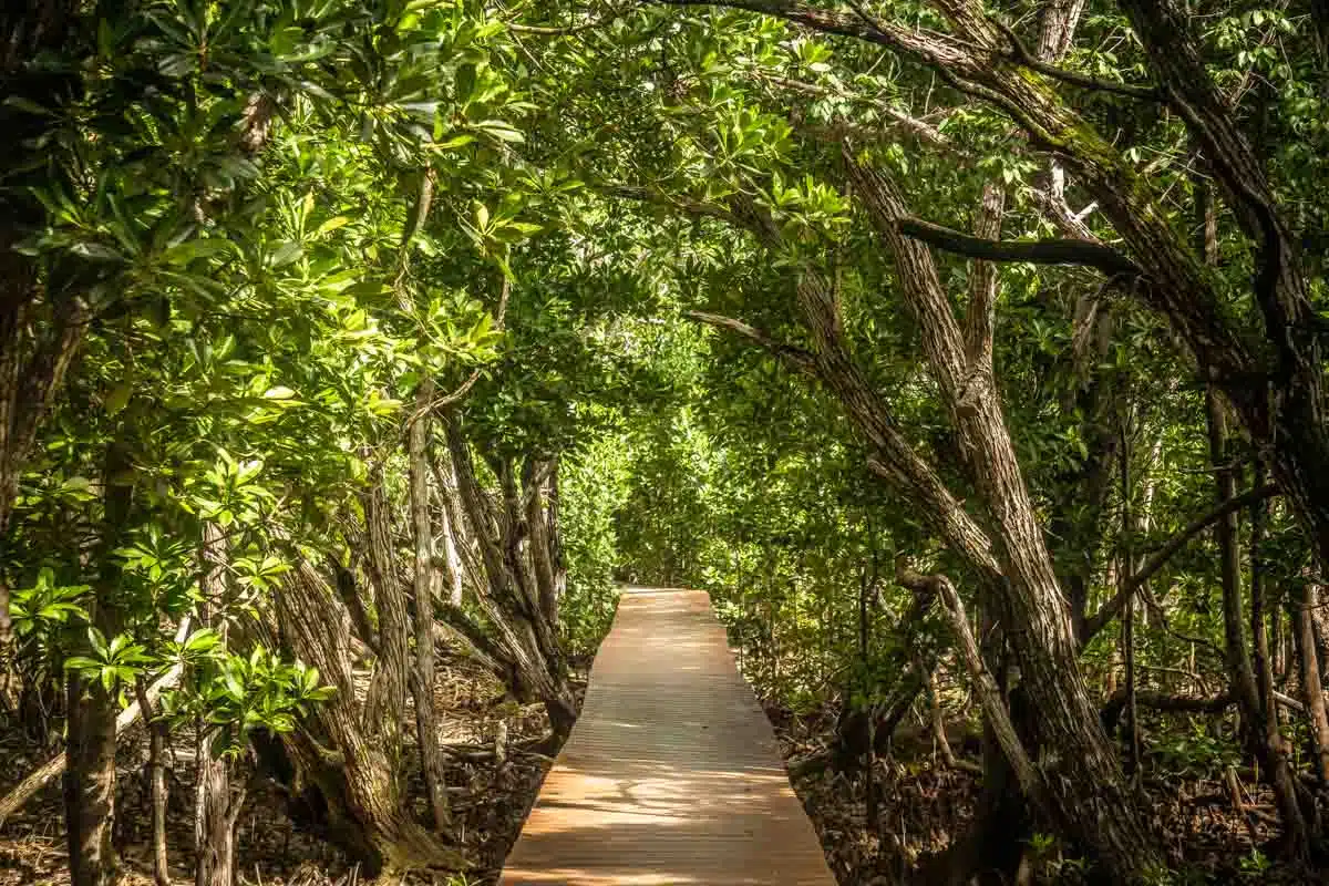 Curieuse Coastal Lagoon Seychelles