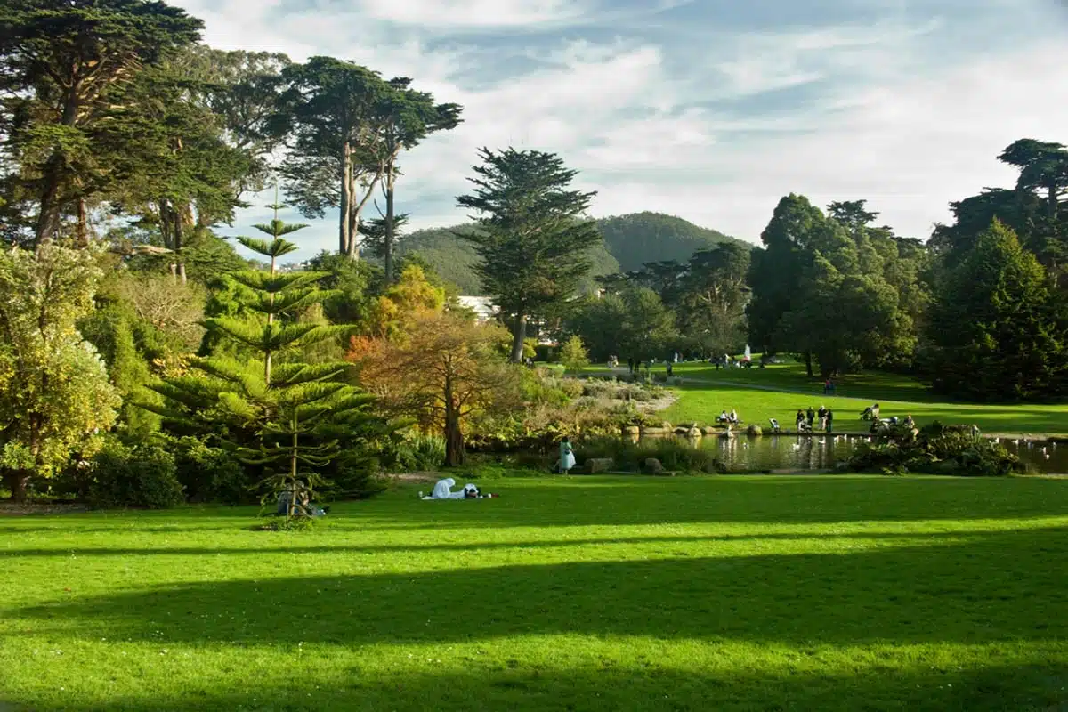 Golden Gate Park, San Francisco, California, USA