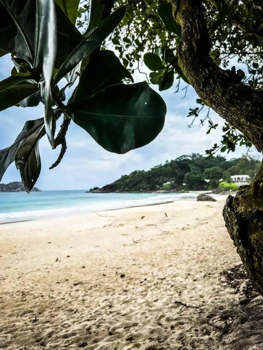 Grand Anse Beach Mahe Seychelles