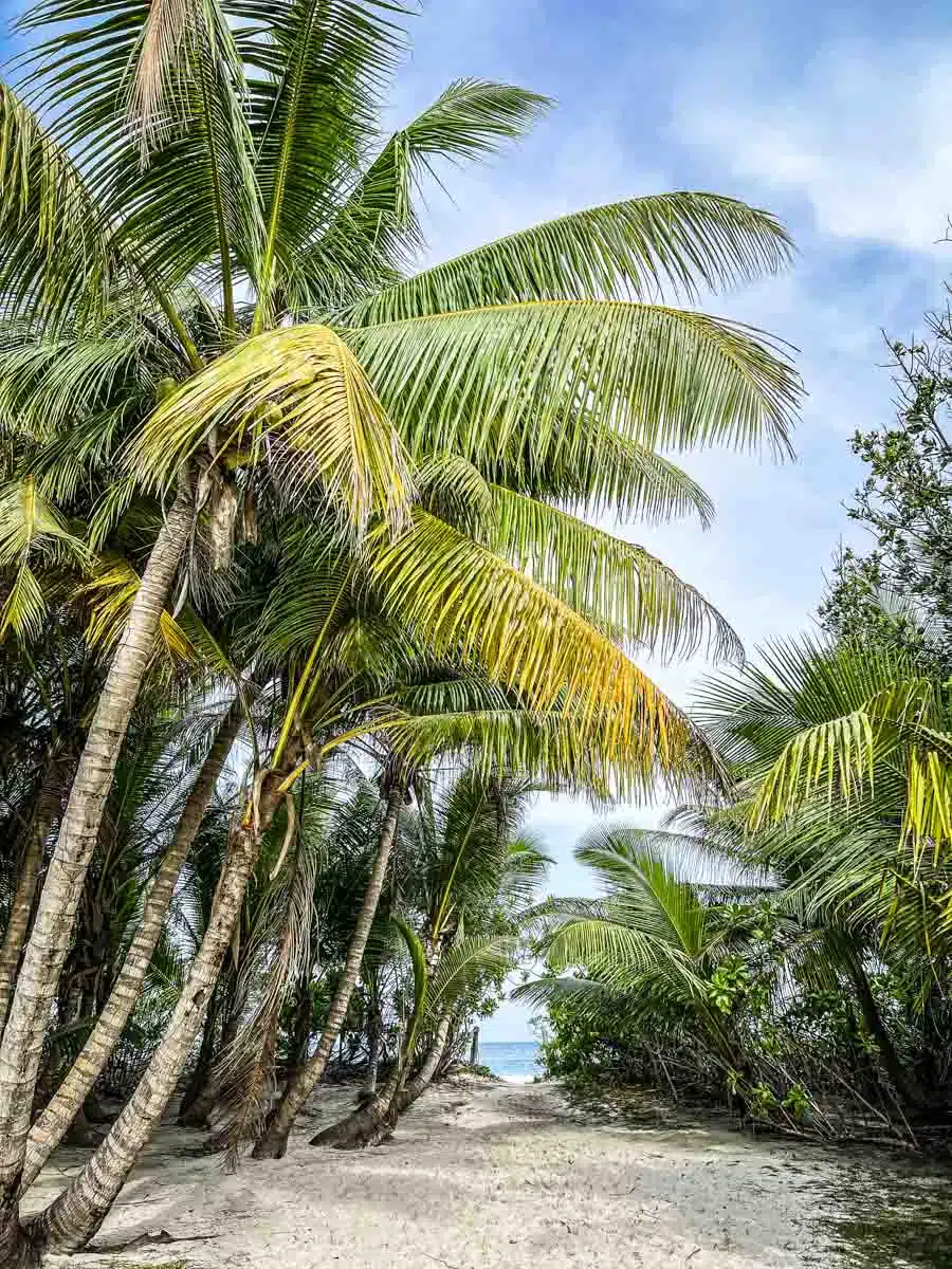 Grande Soeur Seychelles