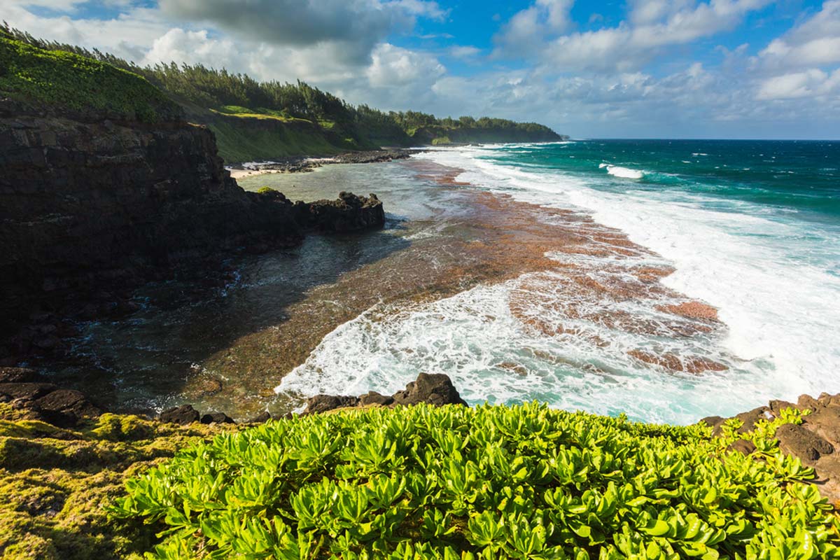 Gris Gris Mauritius