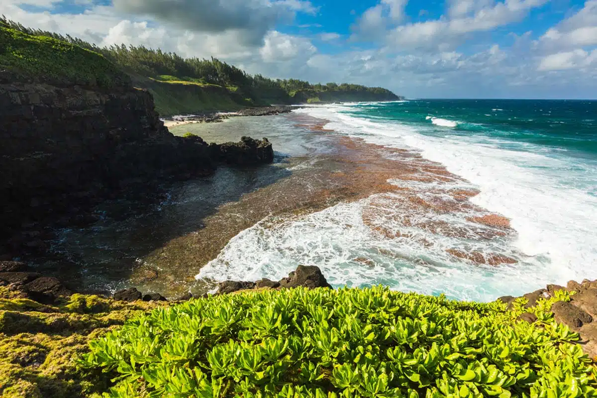 Gris Gris Mauritius