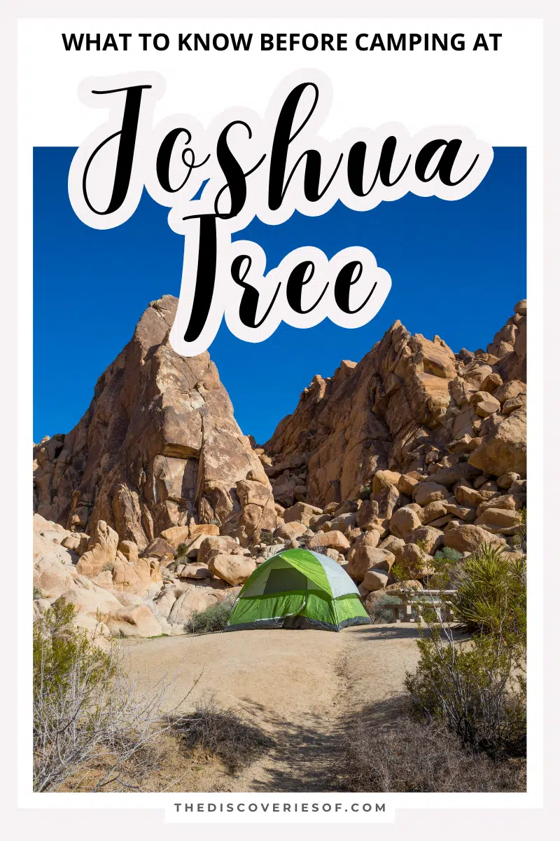 Joshua Tree Camping Guide