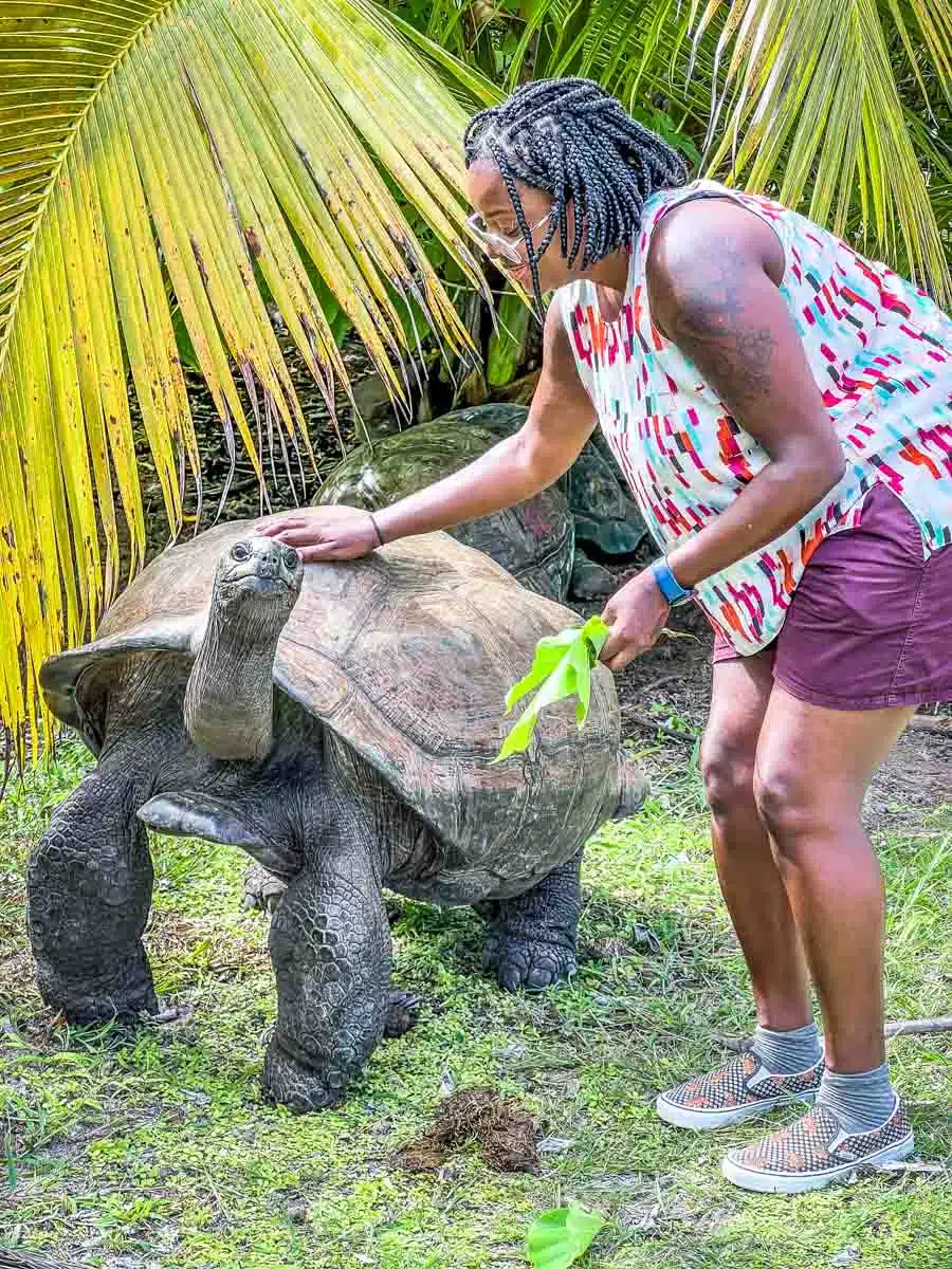 Julianna Tortoise Four Seasons Desroches Seychelles