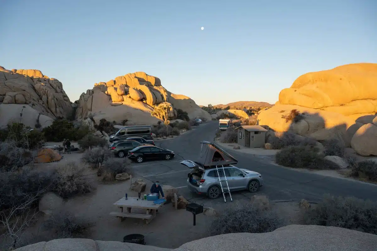 Jumbo Rocks Campground