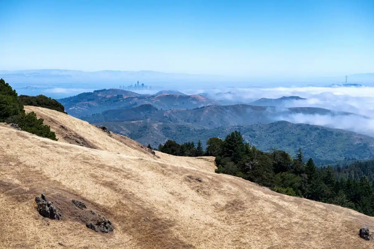 Mount Tamalpais State Park 