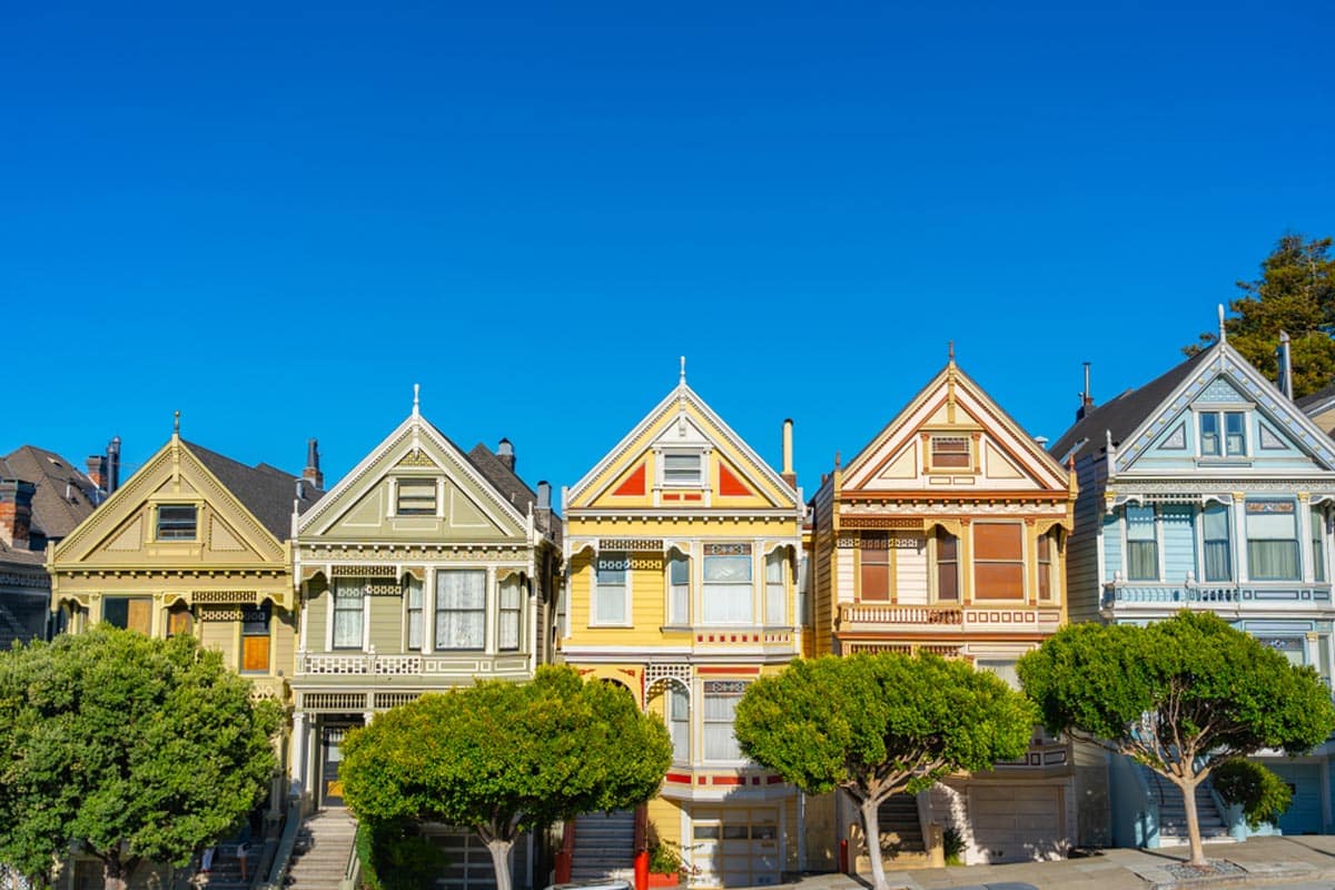 Painted Ladies