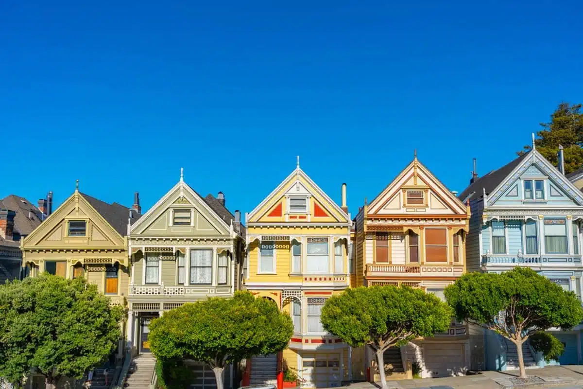 Painted Ladies