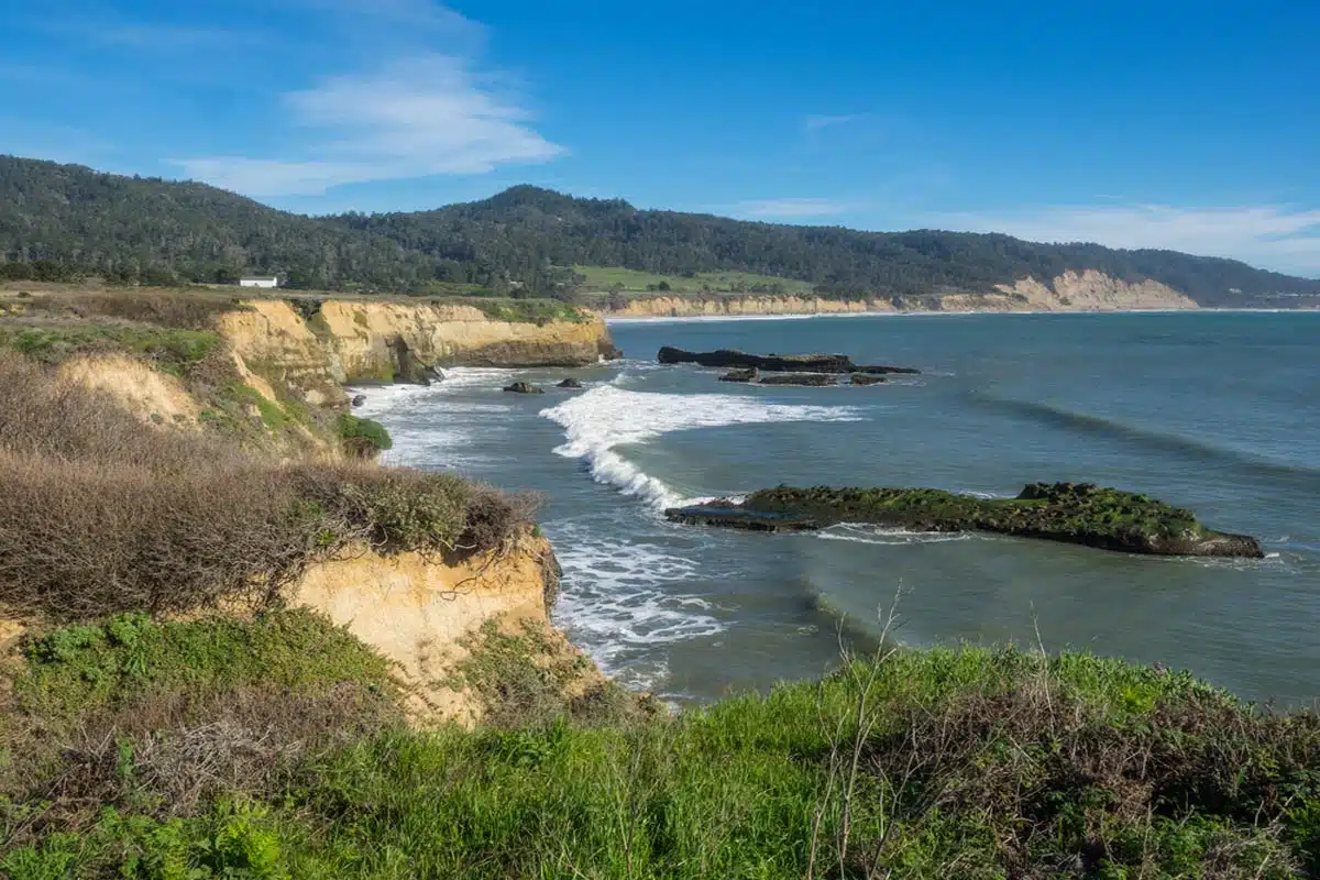 Pescadero Marsh Nature Preserve 