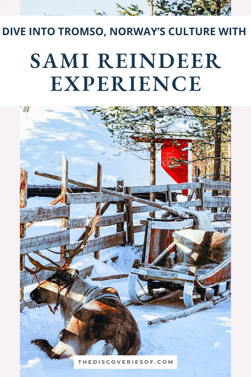 Sami Reindeer Experience