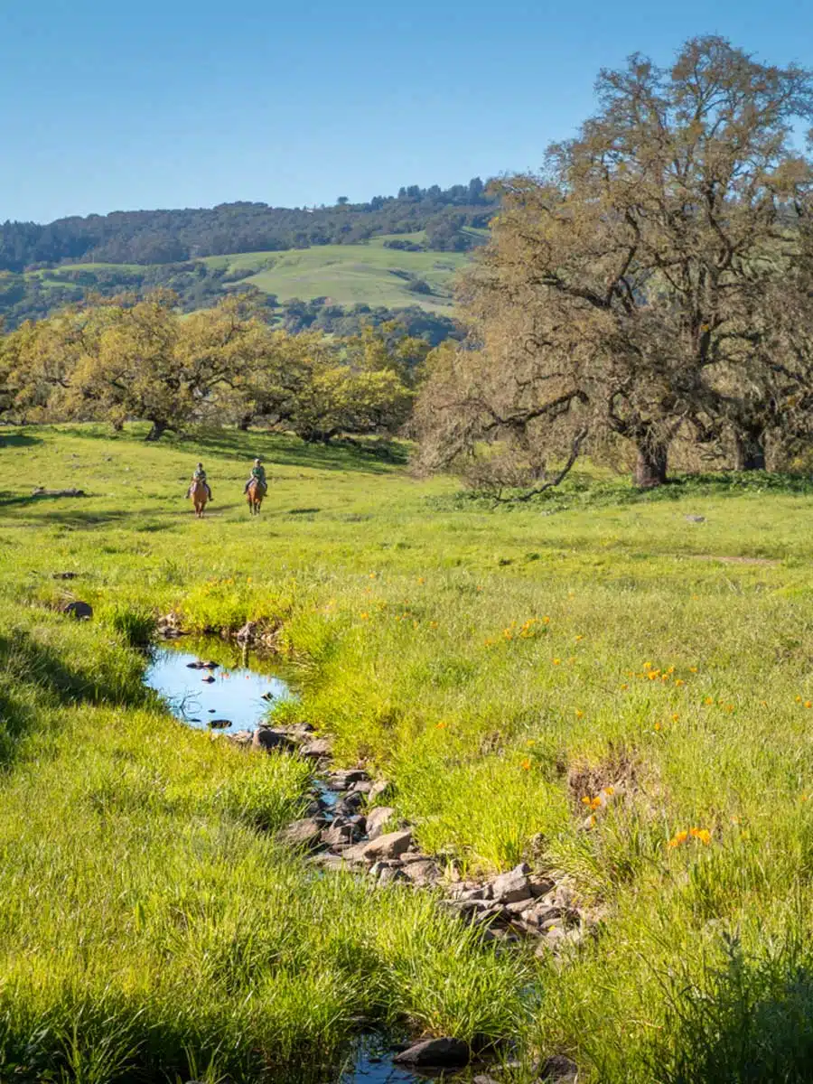 Santa Rosa, California