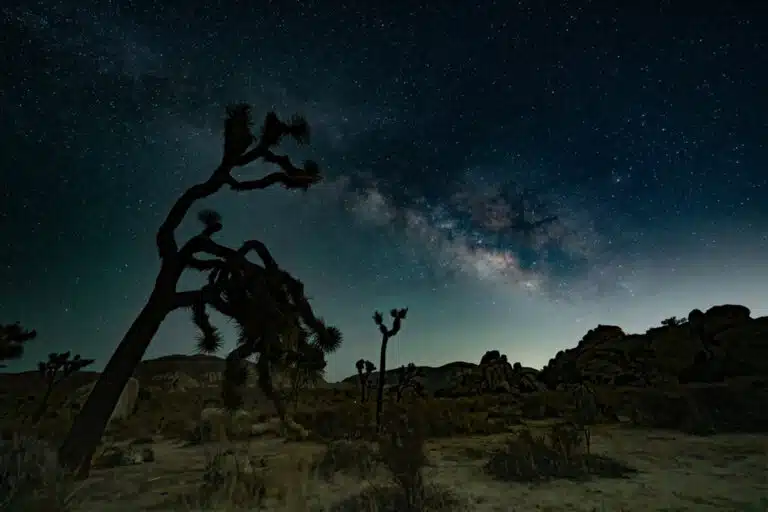 Stargazing in Joshua Tree: A Complete Guide