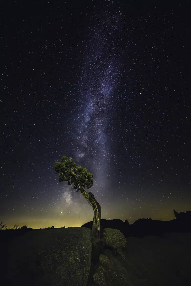 Stargazing in Joshua Tree