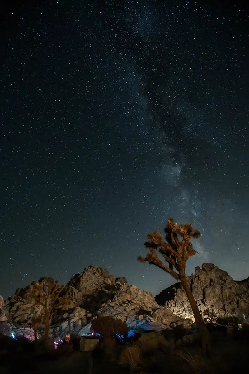  Stargazing in Joshua Tree