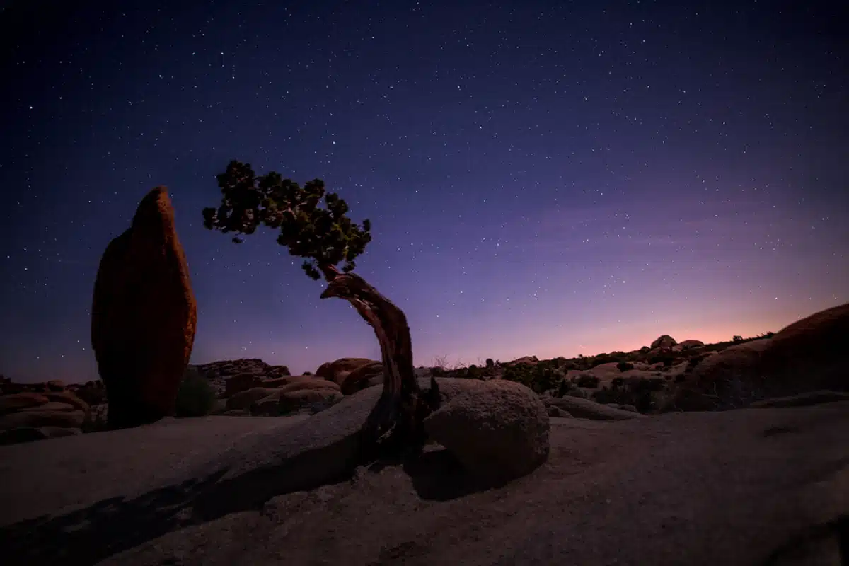  Stargazing in Joshua Tree
