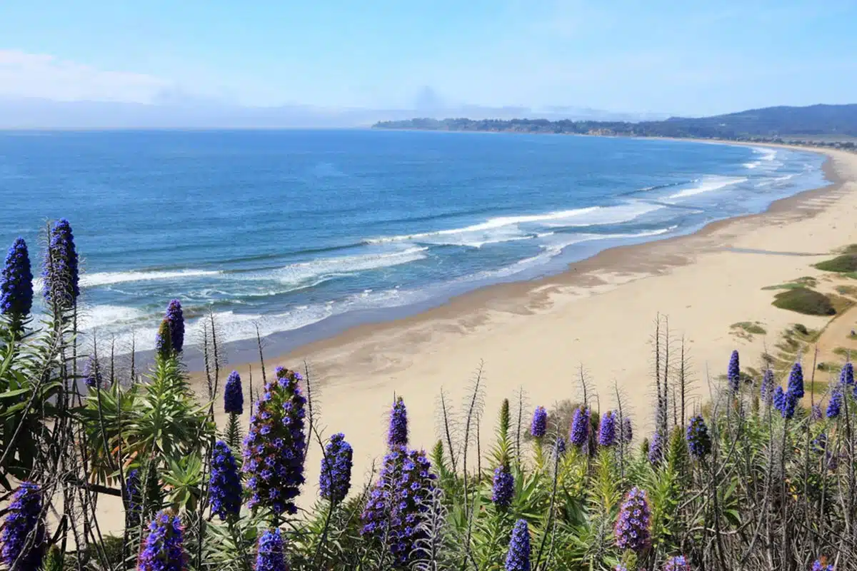 Stinson Beach 