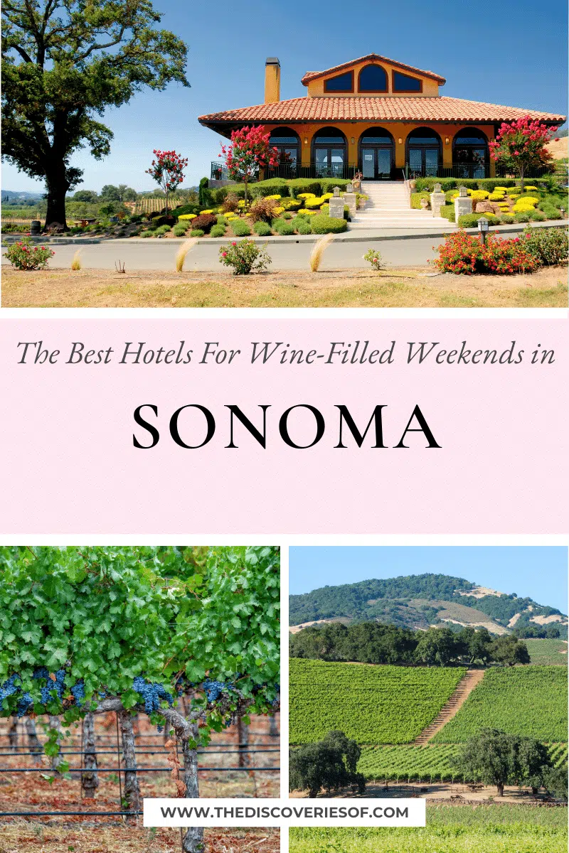 The Best Hotels in Sonoma For Wine-Filled Weekends