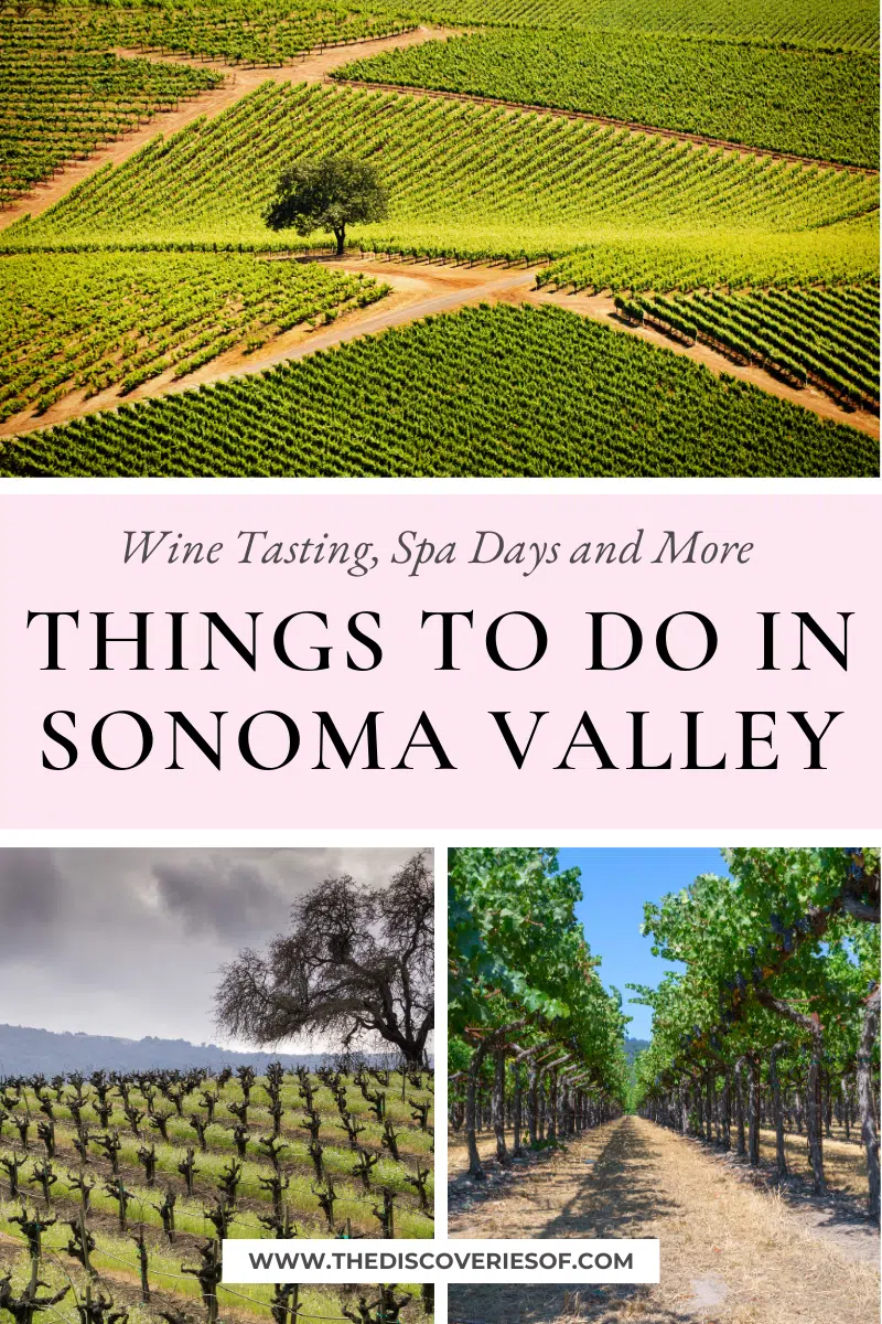 Things to do in Sonoma Valley