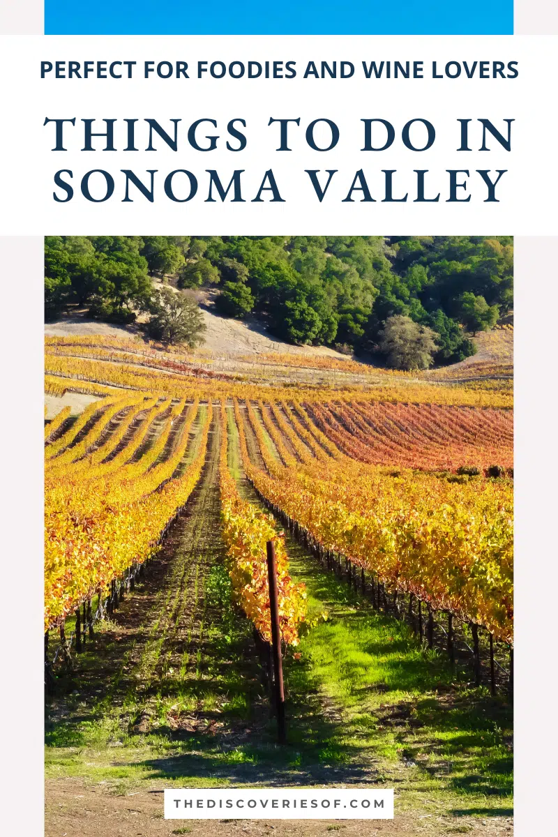 Things to do in Sonoma Valley