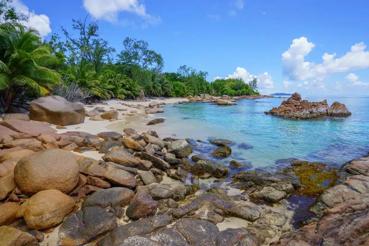 Anse Badamier, Curieuse