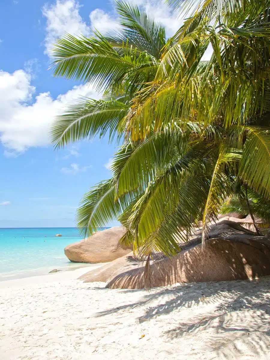 Anse Lazio, Praslin