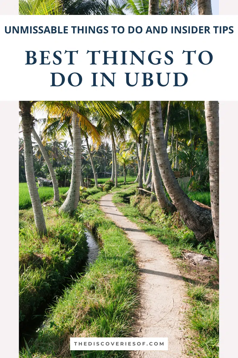 Best Things to Do in Ubud