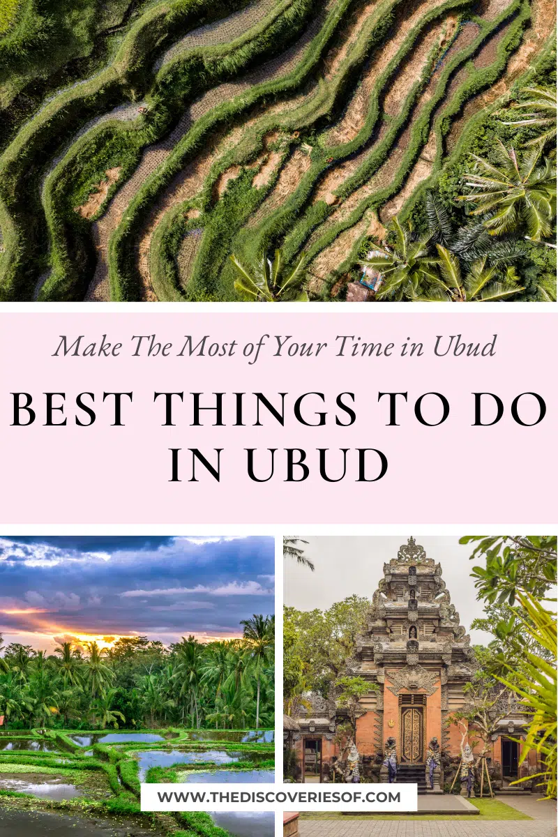 Best Things to Do in Ubud