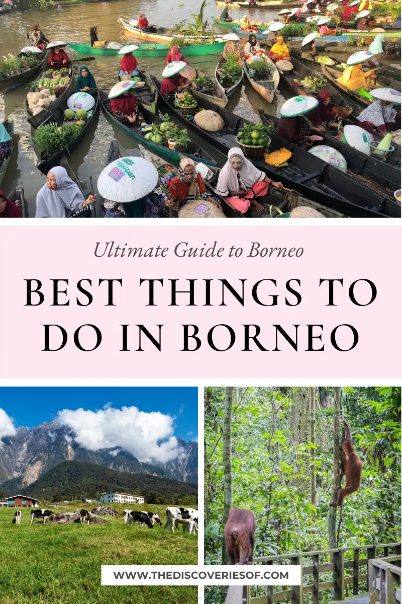 Best Things to do in Borneo