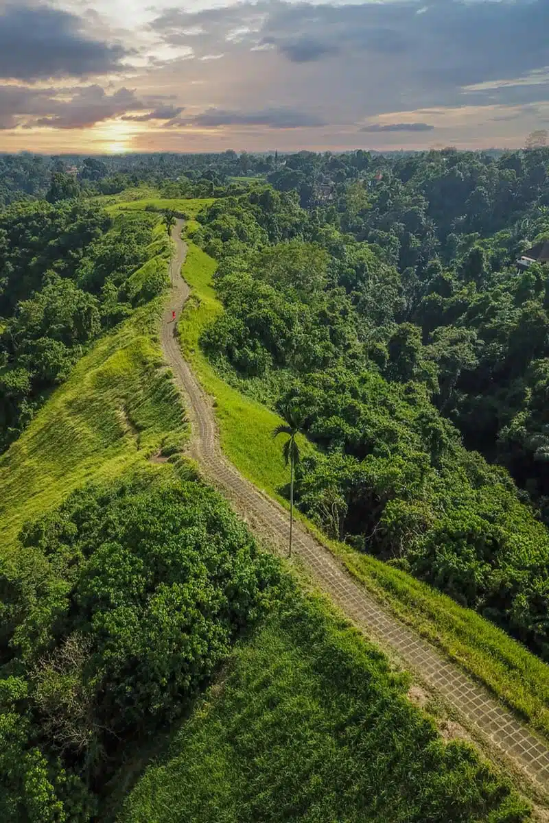 Campuhan Ridge Walk Bali   