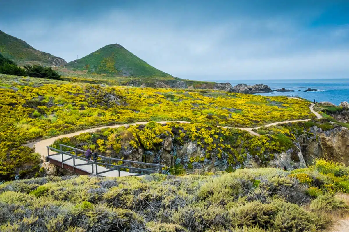 Garrapata State Park 