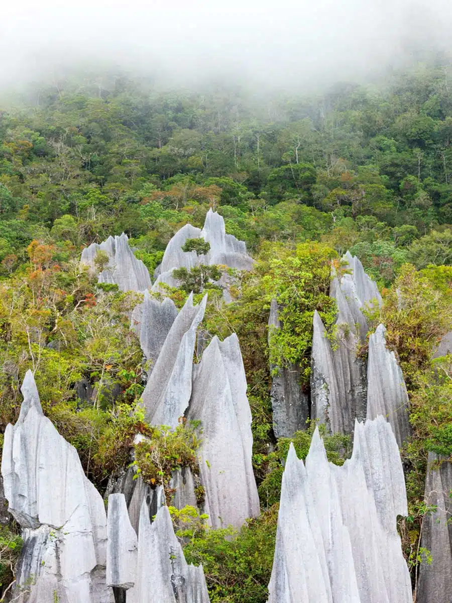 Gunung Mulu 