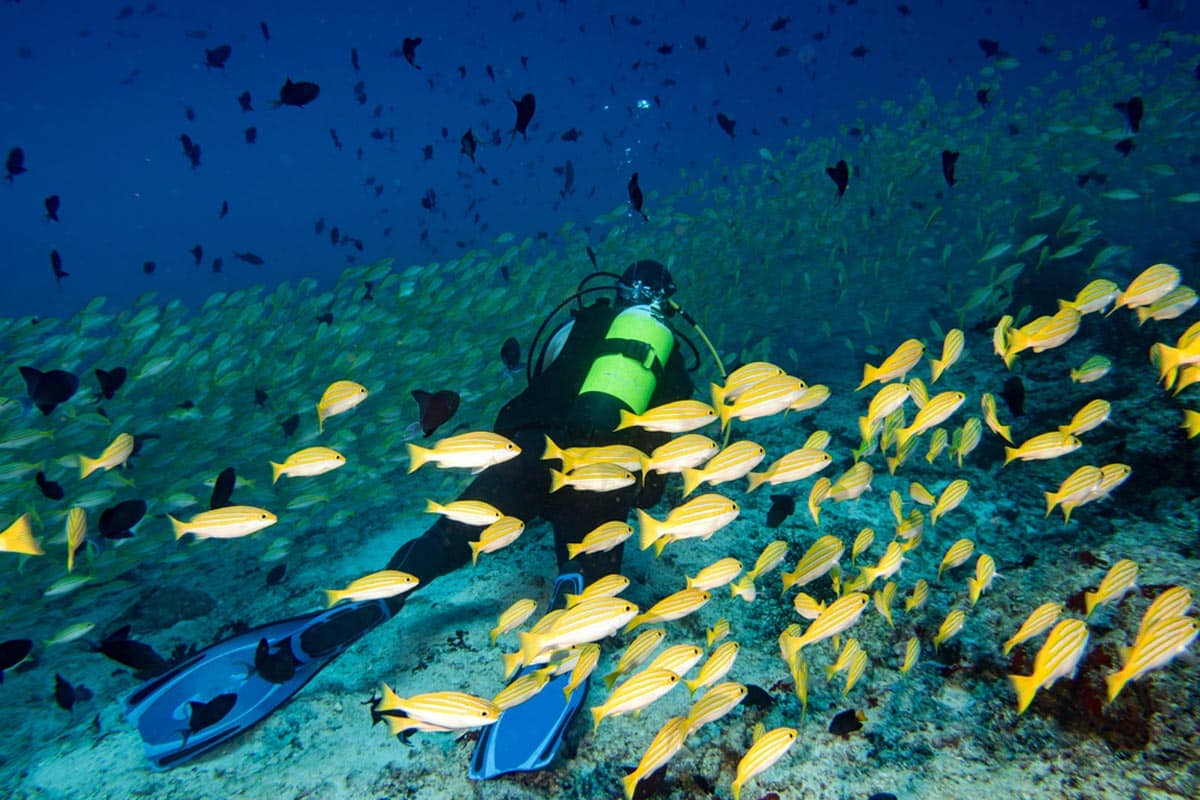 Maldives