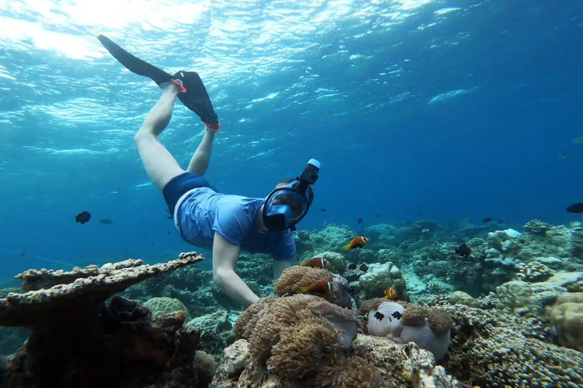 Maldives snorkeling