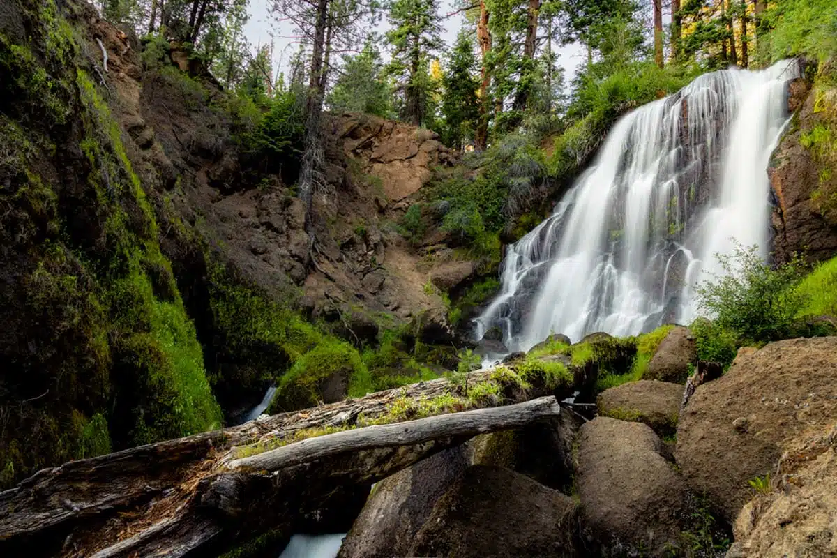 Mill Creek Trail