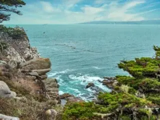 Point Lobos Loop Trail