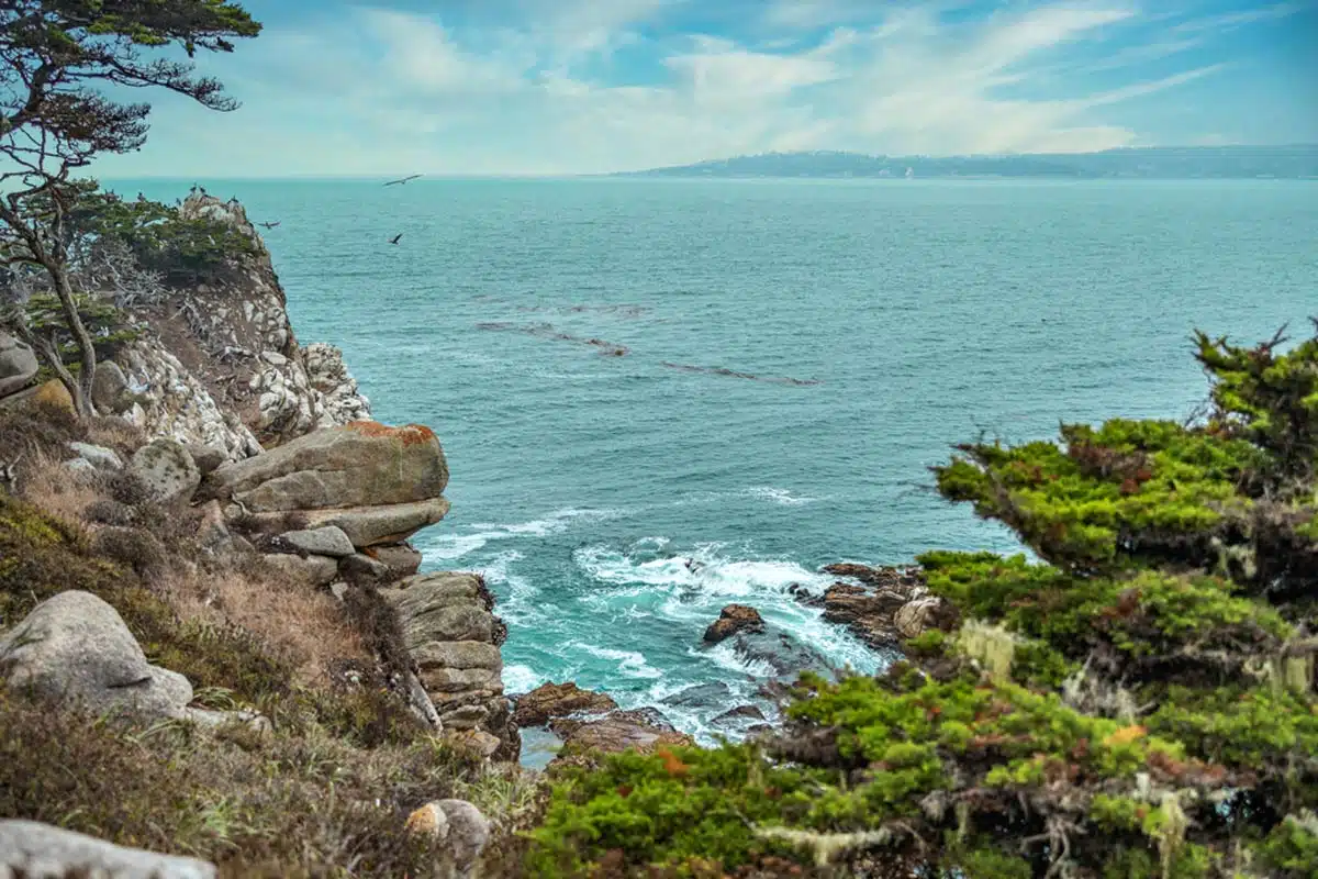 Point Lobos Loop Trail