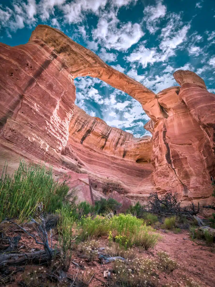 Rattlesnake Canyon Hike