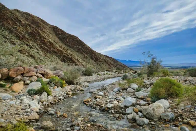 Stunning Hikes in Santa Barbara: 6 Trails to Help You Discover Santa Barbara