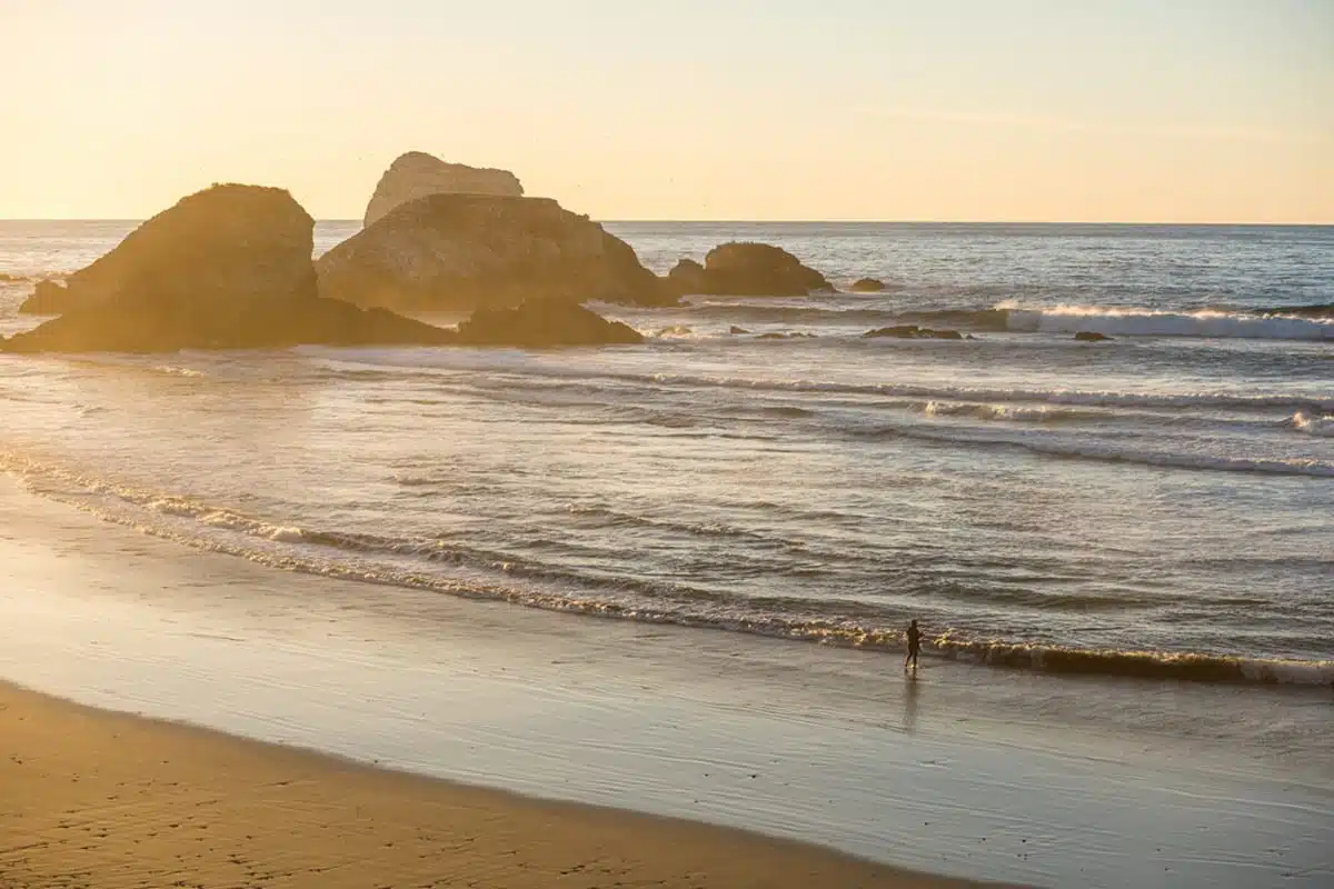 Sand Dollar Beach