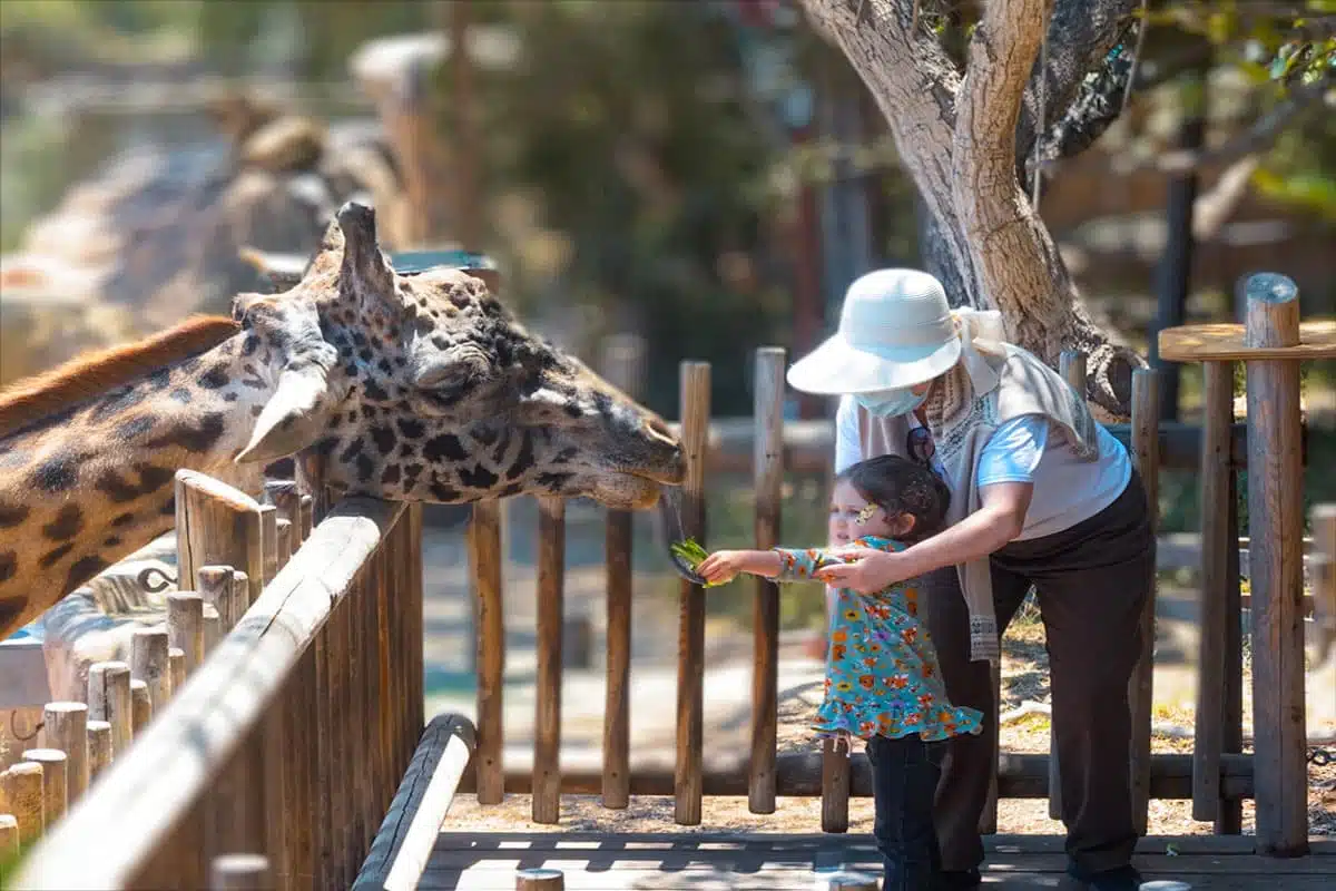 Santa Barbara Zoo