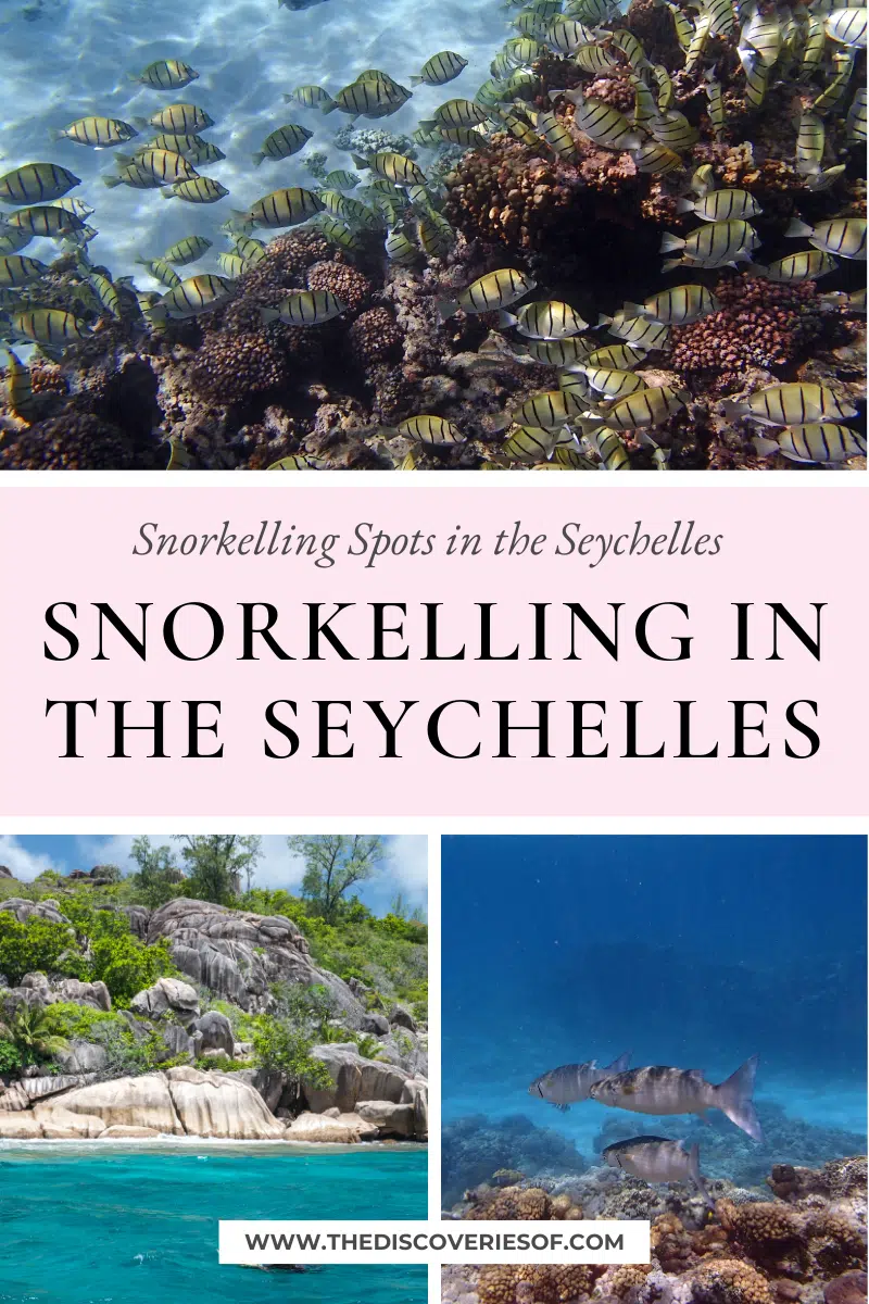 Snorkelling Spots in the Seychelles