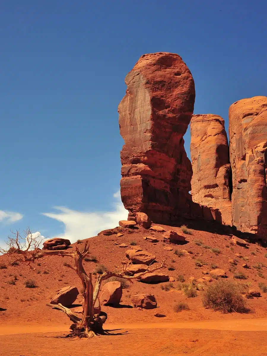 The Thumb Monument Valley 