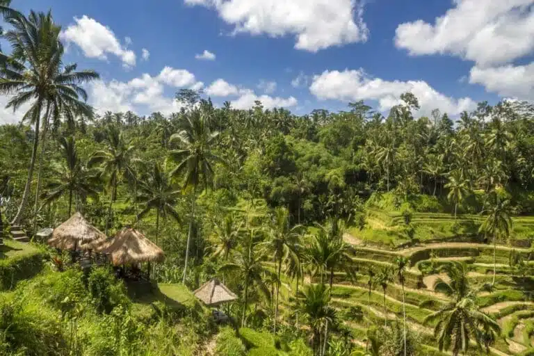 The Best Things to Do in Ubud: 15 Amazing Ubud Attractions